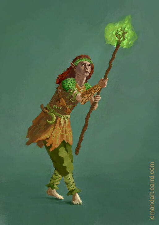 Half-Elf Druid - full color